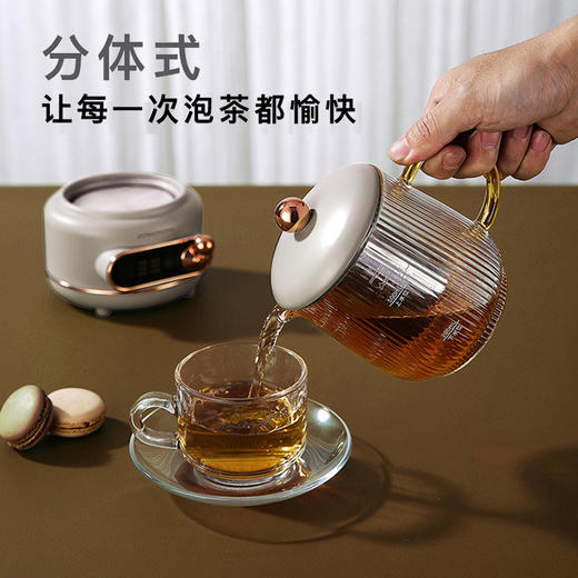 厨创妈咪电炖杯_YSSM05B01【K】 商品图4