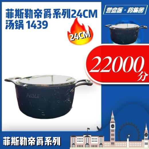 230369	菲斯勒帝爵系列24CM 汤锅 1439 商品图1
