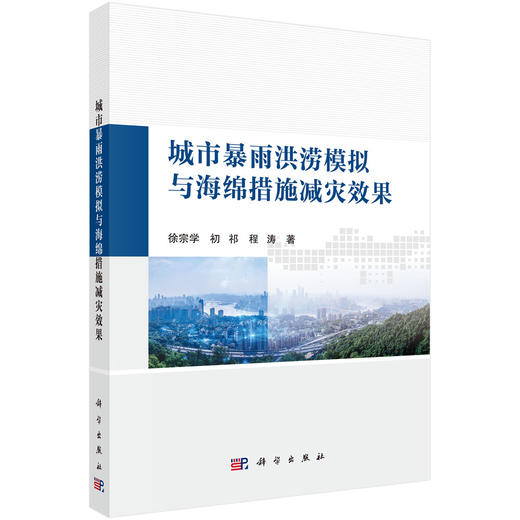 城市暴雨洪涝模拟与海绵城市减灾效果 商品图0