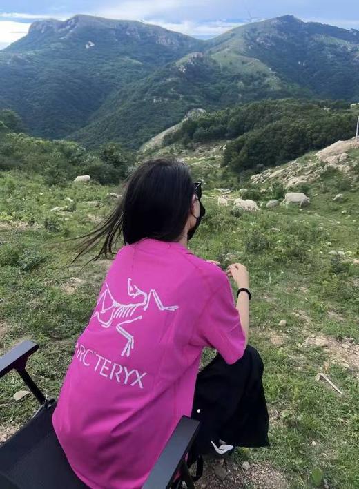 特调梅子色鸟家水洗纯棉短袖裙T 商品图4