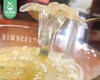 【到手2包】海石花草/1份（约50g*2包）生产日期：26年5月 商品缩略图2