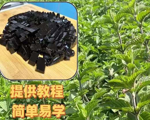 烧仙草套装/1份（约125g）生产日期：26年5月 商品图3