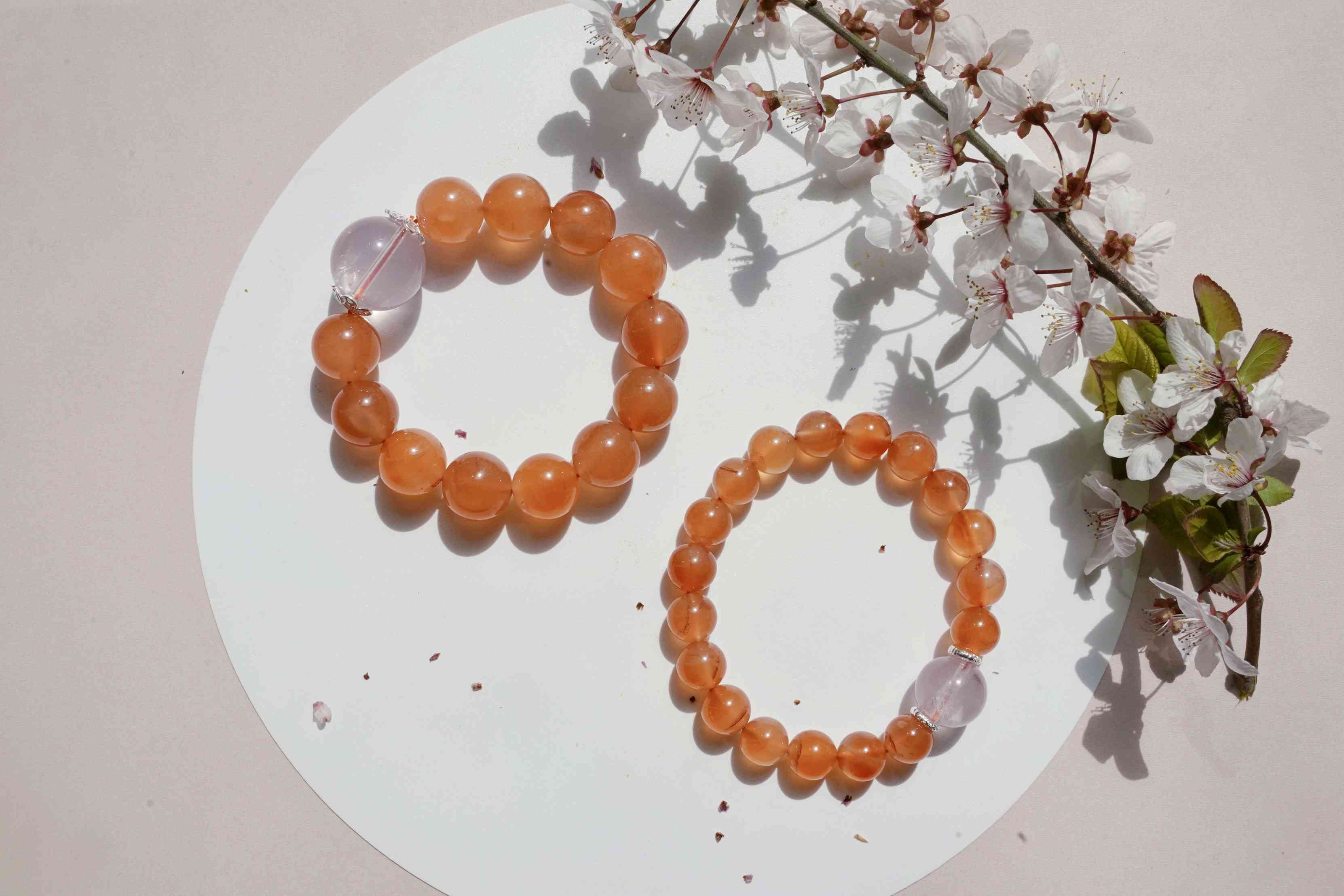 【春颂·海棠】