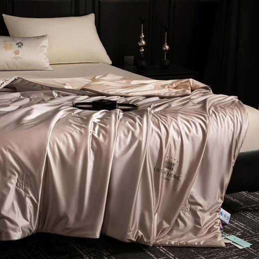 热卖中！！【英国百年品牌】欧特家·OETKER七星级酒店 冰锦丝抗菌水光被（下单72小时内发货！） 商品图12