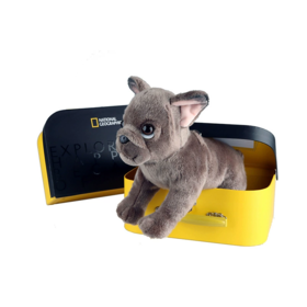 国家地理 毛绒玩具动物玩偶 法国斗牛犬10.5英寸礼盒版