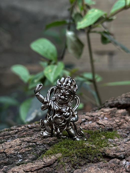 天铁金刚手挂件带挂绳 商品图0