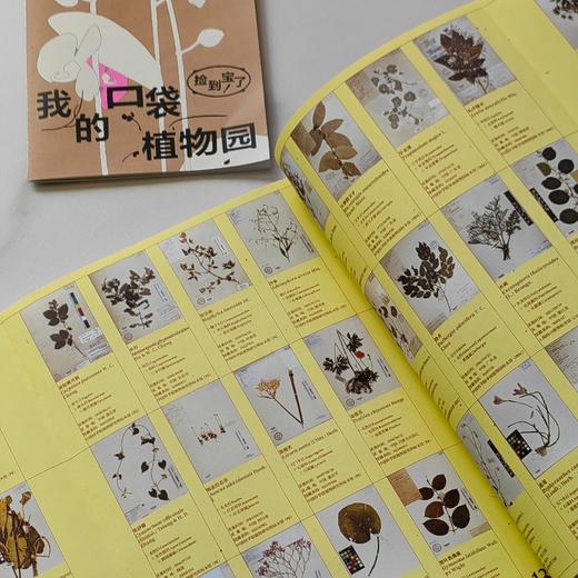 去植物园逛逛吧 商品图3