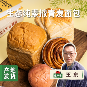 【购买2件以上才能发货】生态纯素掖青麦面包 | 合作农友生产，来自北京，生产者：王东 *【公平贸易农人定价】