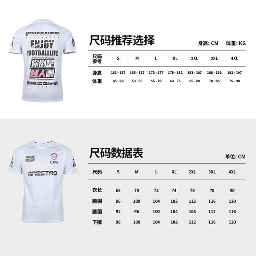 小李子:蜂锐X过人王联名款训练短袖透气速干组队服比赛训练服男 商品图4