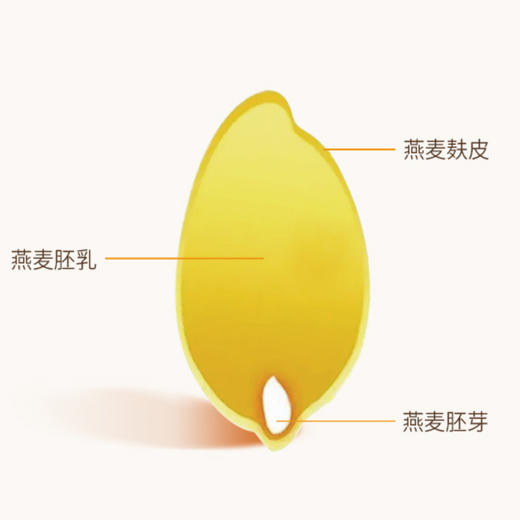 蒙北天然燕麦麸皮粉 160g | 合作农友生产，产自蒙北雪原，生产者：李刚岭＆【公平贸易农人定价】 商品图8