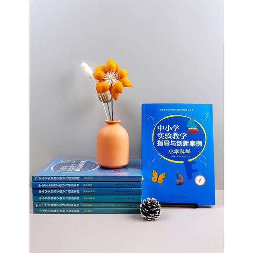 中小学实验教学指导与创新案例.初中物理 商品图1