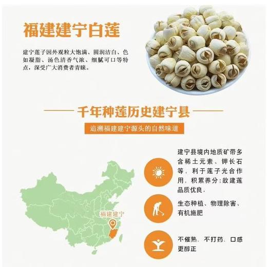 建宁白莲子（特级）约500g /份 商品图2