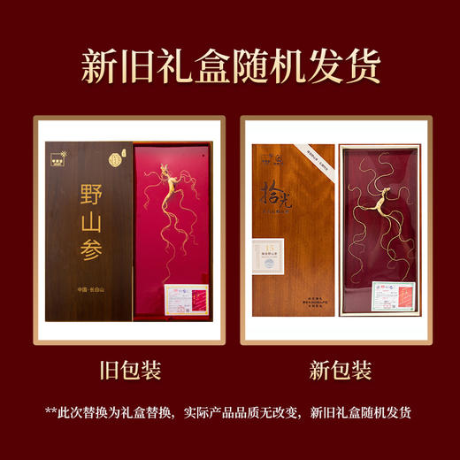 【央企品牌】华润野山参  二等(15年参) 商品图5
