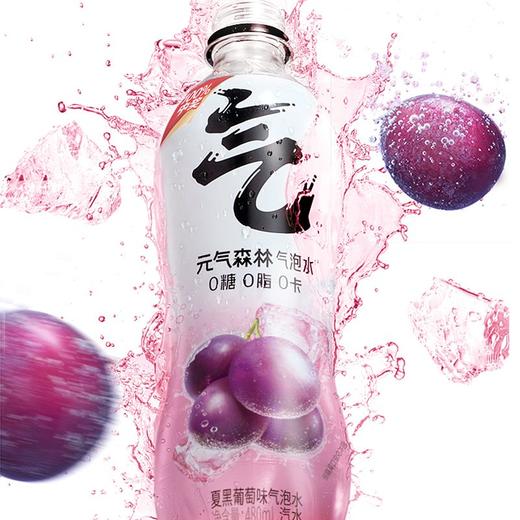 元气森林夏黑葡萄味苏打气泡水汽水 480ml*1瓶/3瓶 商品图2