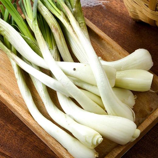 茭头 约150g/份 商品图1