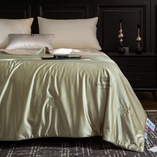 热卖中！！【英国百年品牌】欧特家·OETKER七星级酒店 冰锦丝抗菌水光被（下单72小时内发货！） 商品图6