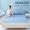 泰嗨TAIHI 新款加厚艾草乳胶凉席三件套A类亲肤面料 商品缩略图1