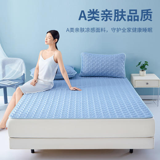 泰嗨TAIHI 新款加厚艾草乳胶凉席三件套A类亲肤面料 商品图1