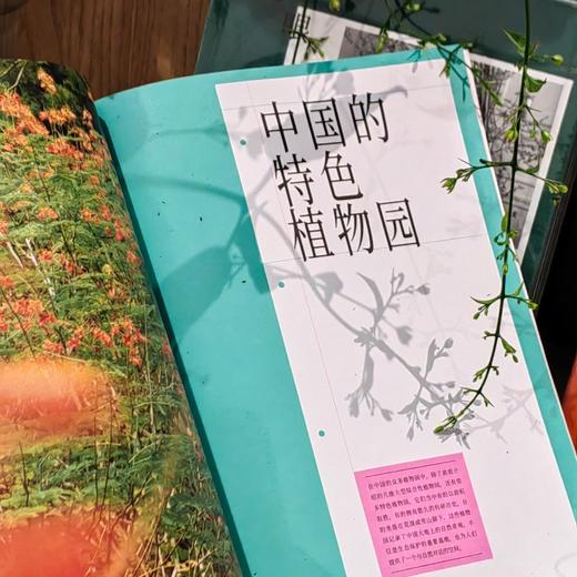 去植物园逛逛吧 商品图4