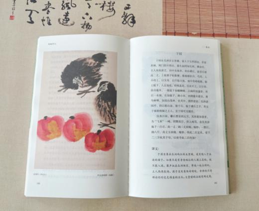 「中国古典生活风雅四书」全4册 汪曾祺、季羡林力荐，清华大学选入书单：这才是生活的顶流， 商品图3