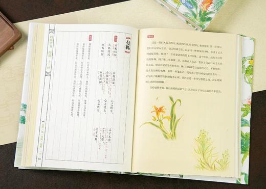 《《诗经》全注全译全本彩图：典藏版》(全2册) 商品图3