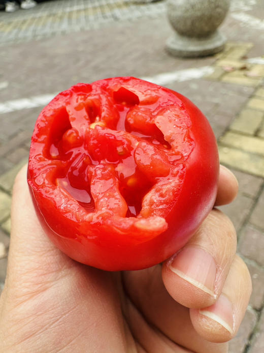 超级玛丽甜番茄 商品图7