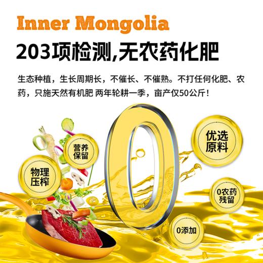 YXG初榨亚麻籽油1L*1罐 商品图3