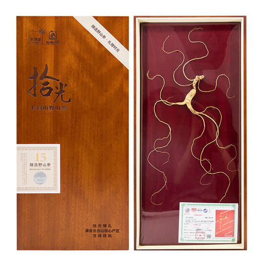 【央企品牌】华润野山参  二等(15年参) 商品图0