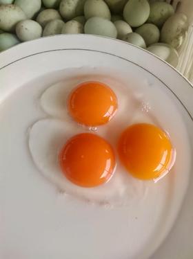 【放养鲜鸭蛋】无腥味纯放养，不是每一颗鸭蛋，都诞生于天然碧波，营养丰富~~ 基地直邮