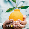 四川柠檬不知火丑橘 净重2斤-8斤大果 当季新鲜水果桔橘子 果园直发 商品缩略图7