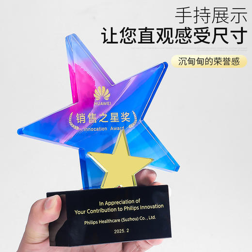 水晶奖杯定制创意五角星金属狼鹿展翅奖牌年会优秀员工销售冠军 商品图3