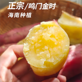 【桥头地瓜/金时地瓜】糯而不水 粉而不干 口感绵密清甜