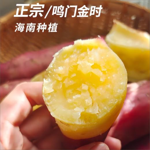 【桥头地瓜/金时地瓜】糯而不水 粉而不干 口感绵密清甜 商品图0