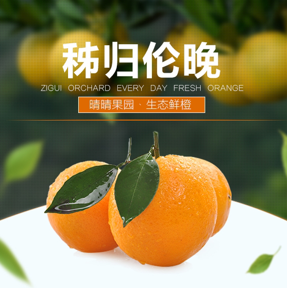 晴晴果园｜生态伦晚 秭归伦晚帝王橙，鲜嫩多汁、香甜可口、特别化渣