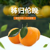 晴晴果园｜生态伦晚 秭归伦晚帝王橙，鲜嫩多汁、香甜可口、特别化渣 商品缩略图0
