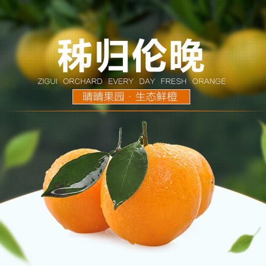 晴晴果园｜生态伦晚 秭归伦晚帝王橙，鲜嫩多汁、香甜可口、特别化渣 商品图0