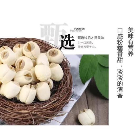 建宁白莲子（特级）约500g /份 商品图3