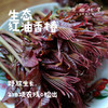 【预售】生态红油香椿（基地直发-京东包邮）| 多种规格，来自山西中条山，生产者：蒲韩青年公社社员，【合作生产，公平贸易】 商品缩略图0
