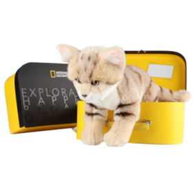 国家地理 毛绒玩具动物玩偶 沙漠猫10.5英寸礼盒版