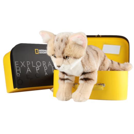 国家地理 毛绒玩具动物玩偶 沙漠猫10.5英寸礼盒版 商品图0