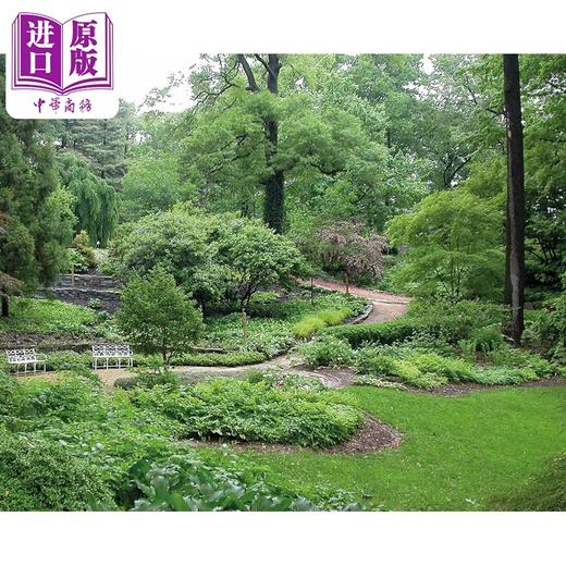 【中商原版】Bonsai and Penjing 进口艺术 盆景 和平与美丽的大使 商品图3