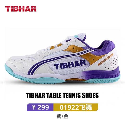 TIBHAR挺拔 飞舞男鞋女款专业乒乓球运动鞋防滑透气（建议买大一码） 商品图0