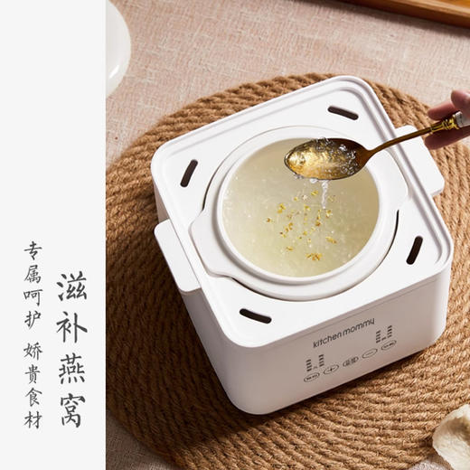 厨创妈咪电炖盅_AJL-10D01【K】 商品图4
