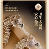 海马2只装（约1.5克） 商品缩略图1
