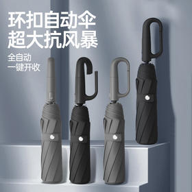 瑞德姆环扣自动晴雨伞RS-105