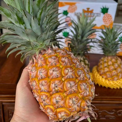 【厂商直发】海南有机凤梨台农17号树上熟金钻凤梨当季新鲜香甜多汁 商品图7