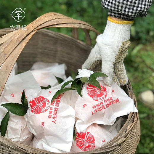 生态耙耙柑 橘有橘粹6斤礼盒 商品图4