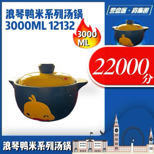 230366	浪琴鸭米系列汤锅3000ML 12132 商品图2