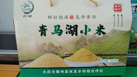 青马湖真空小米礼箱500g袋*5/箱
