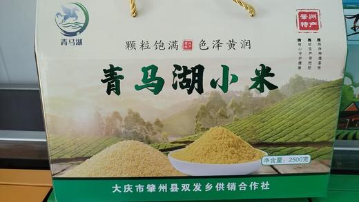 青马湖真空小米礼箱500g袋*5/箱 商品图0